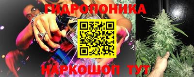 PSILOCYBIN Ипатово