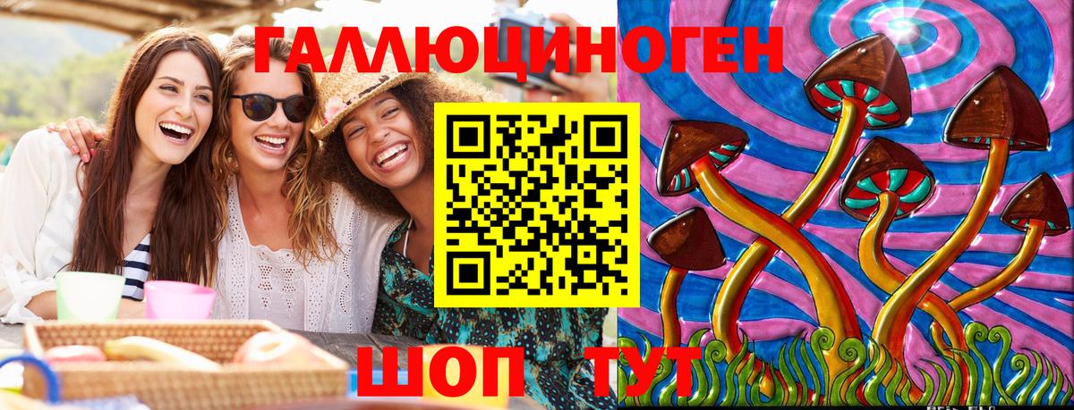 Тосно  Псилоцибиновые грибы Magic Shrooms  Вход с VPN 